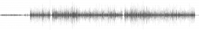 waveform